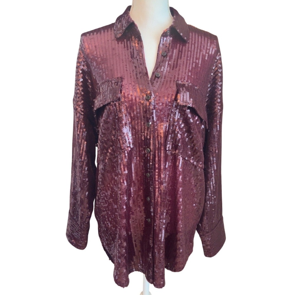 Anthropologie Pilcro Sequin Buttondown Long Sleeve Shirt Oversized SZ: S